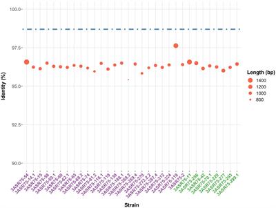 A step into the rare biosphere: genomic features of the new genus Terrihalobacillus and the new species Aquibacillus salsiterrae from hypersaline soils